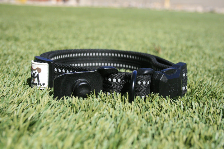 MagnePup-Collar-Black